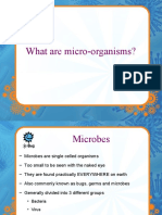 Introduction To Microbes