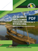 Guía Metodológica - Docentes Región Ucayali PDF