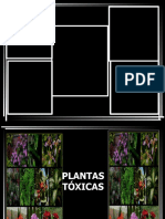 PLANTASTOXICAS Final