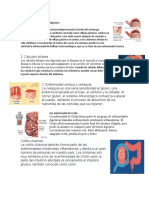 5 cuidados del sistema respiratorio digestivo y 5 Enfermedades del sistema digestivo.docx