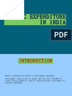 Public Expenditure