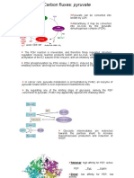 Cancer Metabolism - L.2