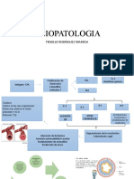 ASMA Fisiopatologia