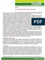 Ecofisiologia de los cítricos en el trópico. Revision y perspectivas