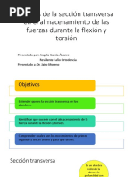 Efectos de La Sección Transversa en El Almacenamiento de La Fuerza Durante La Flexion y Torsion