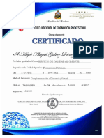 Certificado de Servicio Al Cliente PDF