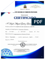 Servicio Al Cliente Cesrtificado PDF