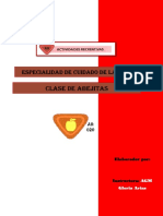 Especialidad Cuidado de La Salud Aventureros PDF