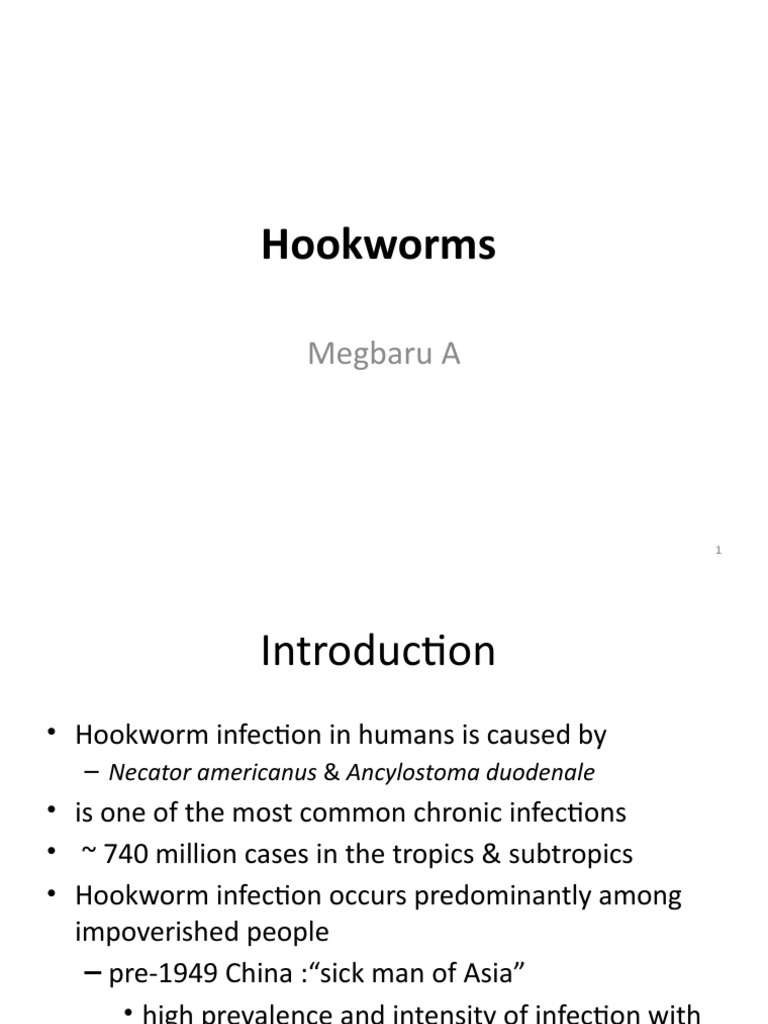 Hookworms Megbaru A PDF Anemia Gastrointestinal Tract