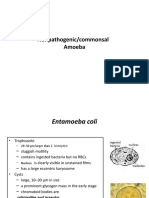Bioinformatics | PDF | Dna | Sequence Alignment