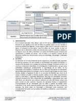 UEEA - Informe Tecnico Fernanda