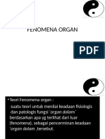 4.fenomena Organ