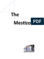 Mestizo Culture