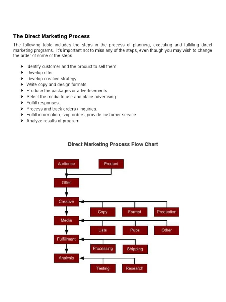 Direct Marketing Success Steps | PDF