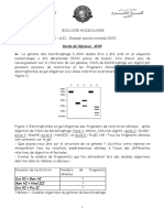 Biologie Moléculaire Examens 01 PDF