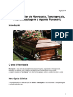 Capitulo 01 Introdução PDF