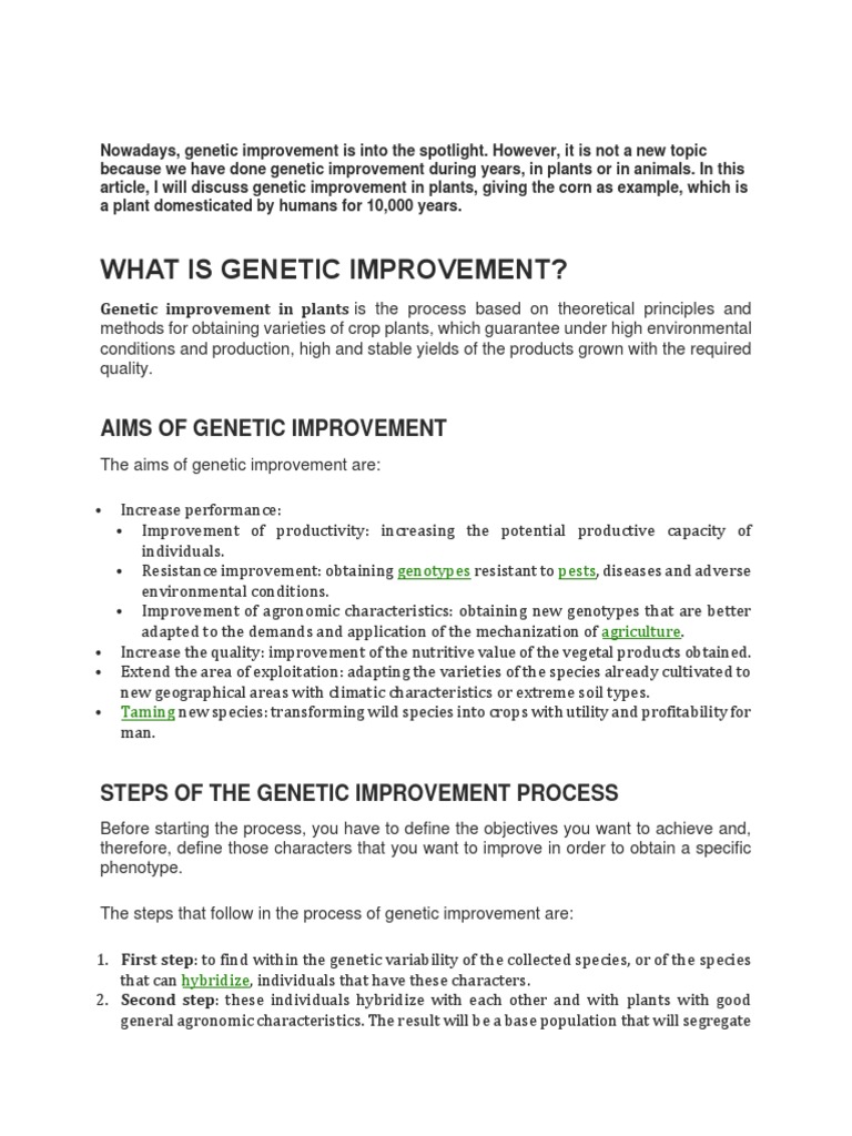 Genetic Improvement of Corn Explained | PDF | Maize | Organisms