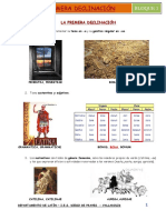 4 01 Primera Declinacion PDF