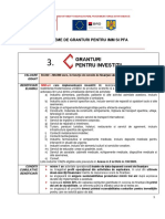 Granturi Pentru Investitii PDF