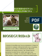 Bioseguridad PPT