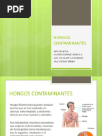 Download Micologa Hongos contaminantes by Salma Laguna SN47676020 doc pdf