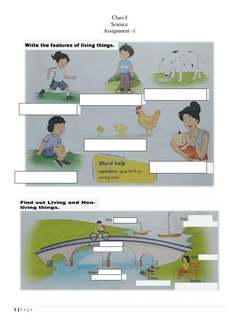 Class I Science Assignment 1 | PDF