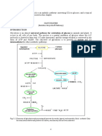 Glycolysis Pathway Converts Glucose to Pyruvate