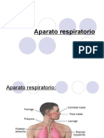 Aparato Respiratorio