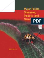 Major Potato Diseases, Insects, and Nematodes