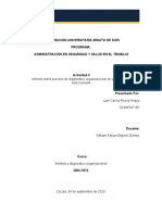 Informe sobre proceso de diagnostico organizacional de una empresa seleccionada