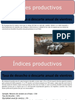 Tasas de desecho y producción de leche e índices