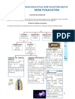 5 Funcion de Nutricion 26 May A 05 de Jun