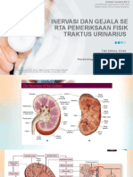 (BST) Amelia - Febi Inervasi Dan Px. Traktus Urinarius