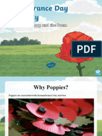 t2 T 694 Remembrance Day Creativity Lesson 5 The Poppy and The Poem Powerpoint - Ver - 2