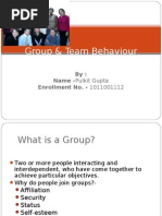 Group & Team Behaviour