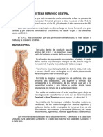 Sistema Nervioso Central. Medula Espinal.pdf