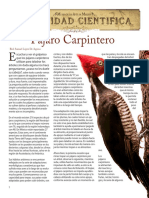 Pajaro Carpintero PDF