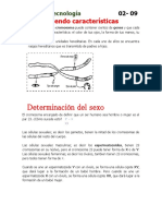 Determinacion Del Sexo PDF