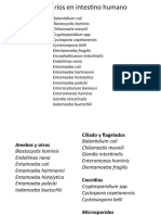 Protozoarios PDF