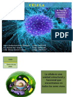 Actividad 3 - Estructura de La Celula y Función de Las Partes