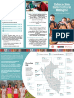 Educación Intercultural Bilingüe. Tríptico Perú 2019