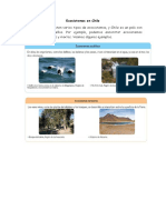 Ecosistemas en Chile.pdf