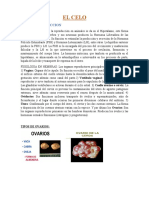 FISIOLOGIA DE LA REPRODUCCION ANIMAL - Exposicion