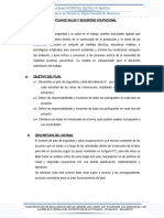 FORMATO N° 24-PLAN DE SEGURIDAD Y SALUD OCUPACIONAL