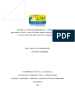 Dinámicas Territoriales Generadas A Partir de La Implementación PDF