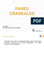 Pares Craneales PDF