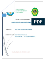 Aparato Reproctor en Aves ..Pecuaria