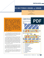 6536-diferenciando-bacterias-gran-y-gram.pdf