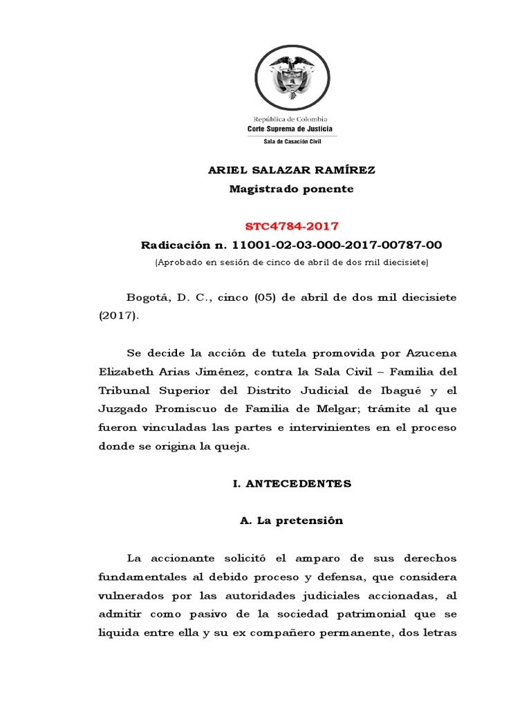 STC4784 2017 | PDF | Caso de ley | Derecho Constitucional