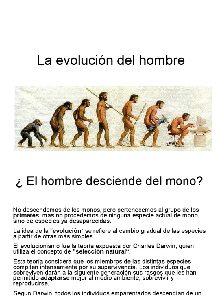 1la Evolución Del Hombre | Descargar gratis PDF | Evolución humana | Homo